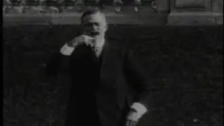 Robert P. McGregor: The Irishman's Flea