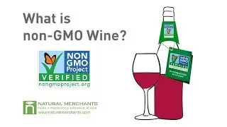 What is Non-GMO Project Verified Wine? - Natural Merchants Organic Wine
