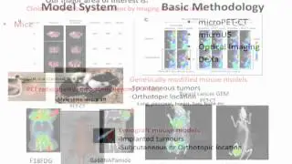 Molecular Imaging Techniques in Cancer Research - Francisca Mulero