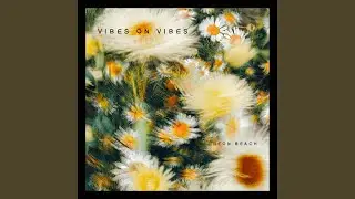 Vibes On Vibes