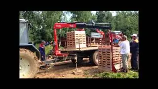 FASSI MICRO M30 на погрузке земляники