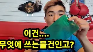 [원펀치TV] 정권보호?새로운?갤가드 영접!! 용도와 방법은?