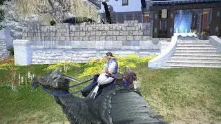 Amoro mount FFXIV