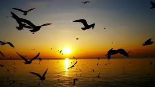 Real jinn stories in Kuwait
