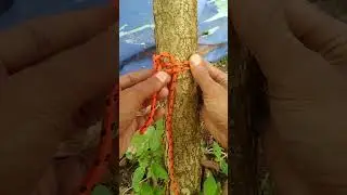 Locking knot is very simple and practical #rope #knot