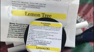 Trulieve:/: Lemon Tree shatter:/: Lemon Og crumble