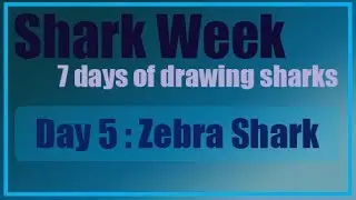 Shark Week Day 5 - Drawing a Zebra Shark