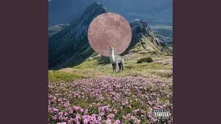 Intro