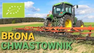 🌱 Bronowanie zbóż jarych w Ekologii // Kilka słów od Kierownika ☆ John deere 6600
