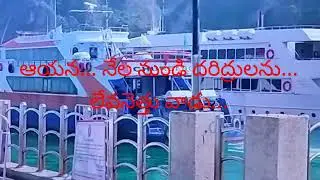 దావీదు స్తుతి గీతం~ కీర్తన 113 & 114(KDR)అద్భుతమైన హృదయ ధ్యాన గీతం.