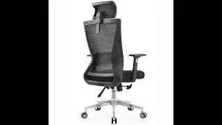 Ergonomic design, supports healthy posture#applestarfurniture  #chair #furniture #officechair