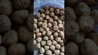Фундук. Макдоналд, вихід ядра, частина 2
