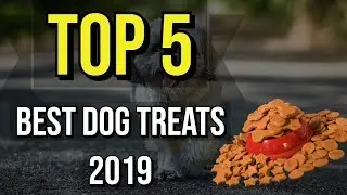 ✅ TOP 5: Best Dog Treats 2019
