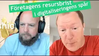 Ehandlare slutar v&auml;xa - p&aring; grund av resursbrist i digitaliseringens sp&aring;r