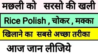 इस तरीके से मछली को खाना खिलाये Growth दोगुना पाये
