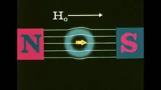 Nuclear Magnetic Resonance / NMR principles (1966)