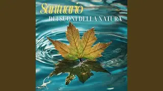 Sinfonia delle onde
