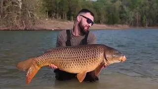 Carp Freedom, Dale Hollow Lake 2017