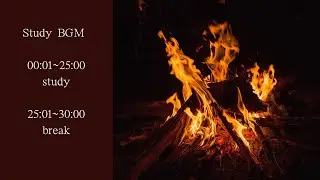 【Study BGM】 The sound of a bonfire 【Study with me】