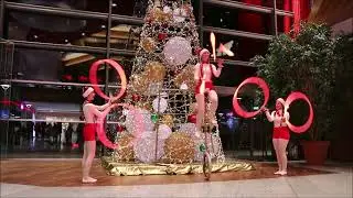 TLG - Christmas Showreel 2024