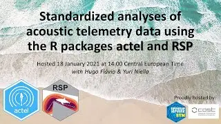 Standardized analyses of acoustic telemetry data using the R packages actel and RSP