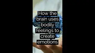 How the brain uses bodily feelings to create emotions
