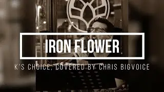 K's Choice - Iron Flower (Chris BigVoice guitar acoustic cover)