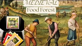 A Medieval Food Forest?  Seeds from the past, growing plants from history. 🌱 🪴 