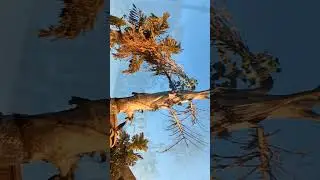 Cinematic Shoot of BRAC