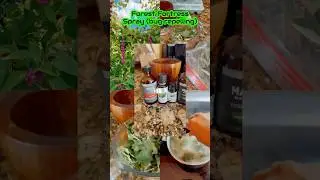 Forest Fortress Bug Repelling Nature #spray from Beauty Berry Leaves #diy #nature #natural #homemade