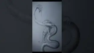 A Lions Justice Timelapse Sketch | #shorts #drawingart #artprocess