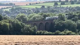 Beautiful #Kent #hiking #dogwalking #schnauzer #train #viaduct #england #countryside #summer2025