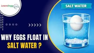 Why Eggs Float in Salt Water ? | LearnEngg