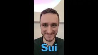 Missed Aptos? Sui airdrop is coming