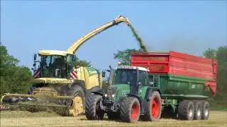 Ensilage de ray-grass 2018 ensileuse krone