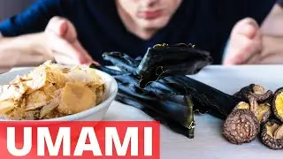 Qu’est ce que L’UMAMI, Pourquoi t'en MÉFIER, la cinquième saveur du japon