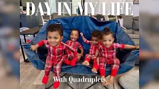 Quads on the Move: A Morning Stroll with Four