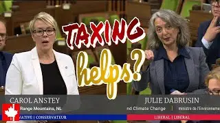 How does taxing Canadian industries help affordability for families struggling with high prices?