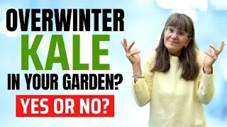 Winter Kale: Smart Gardening or Big Mistake? 🤔❄️