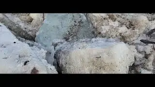 Missouri River Finally Breaks In Spring Thaw