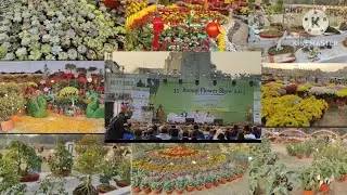 Flower Show Jamshedpur||Flower Show Jamshedpur 2025||#vlog #jamshedpur #flowershow #bistupur 