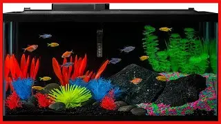 GloFish 20 Gallon Aquarium Kit with LED Lights, Decor Heater and Filter