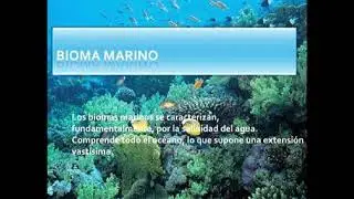 Biomas marinos !