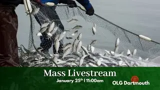 Sunday Livestream - January 25, 2026 at 11am