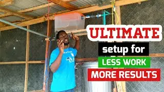 Ultimate Chicken House Setup for Less Work, More Results
