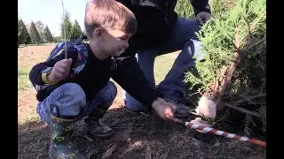 2-year-old shops for Christmas tree at Penland Farm