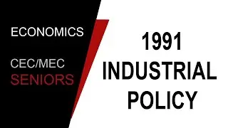 (25 Aug 2020) 1991 INDUSTRIAL POLICY