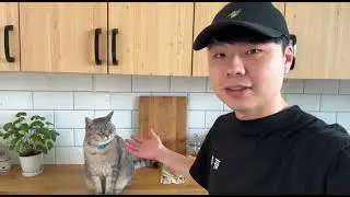 I Cooked a Steak for My Cat 🥩🐱 | Shopping to Cooking Vlog