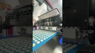 Double Color Filling Cookies Machine. how to make cookie.