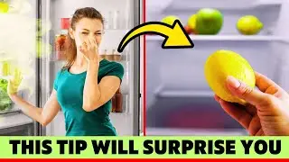 How to Get Rid of Bad Smells in Your Fridge Instantly